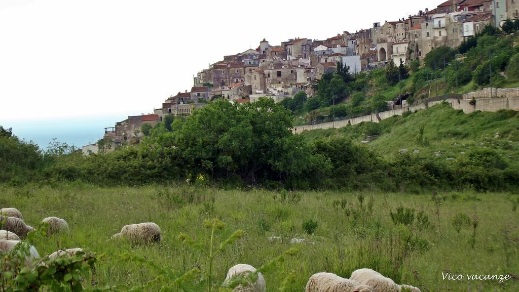 B&B Vico Vacanze Vico Del Gargano Exterior photo